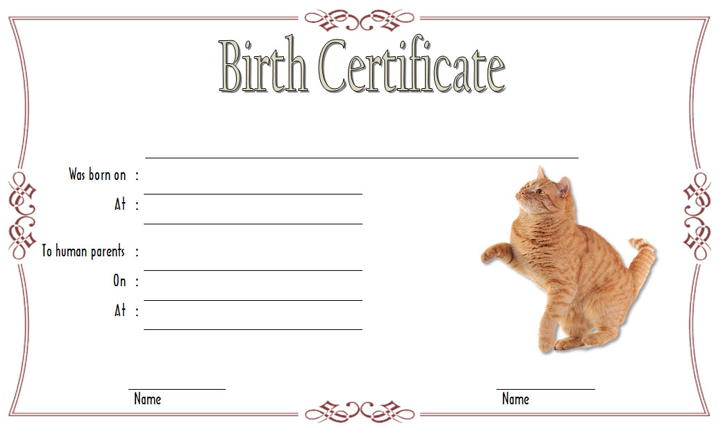 kitten-birth-certificate-template-10-cute-designs-free