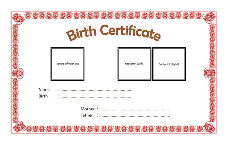 kitten-birth-certificate-template-10-cute-designs-free-fresh