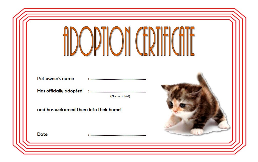 Cat Adoption Certificate Free Printable Printable World Holiday